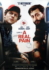 A Real Pain SONY DSC