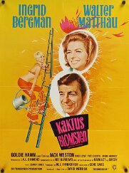 Kaktus Blomsten